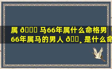 属 💐 马66年属什么命格男「66年属马的男人 🕸 是什么命」